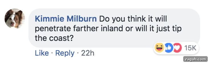 Comments on This Hurricane Florence Map Are Hilarious 4 Hurricane Tracker screenshot 3