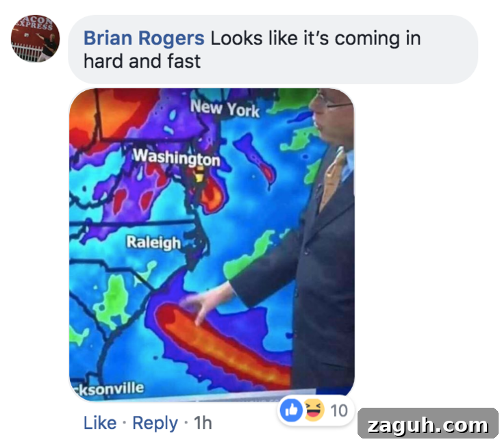 Comments on This Hurricane Florence Map Are Hilarious 10 User-shared map 2