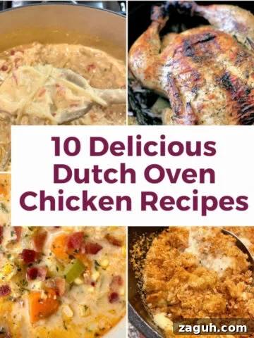 Photos of Dutch oven chicken recipes.