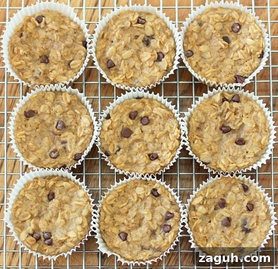 breakfast oatmeal cupcakes
