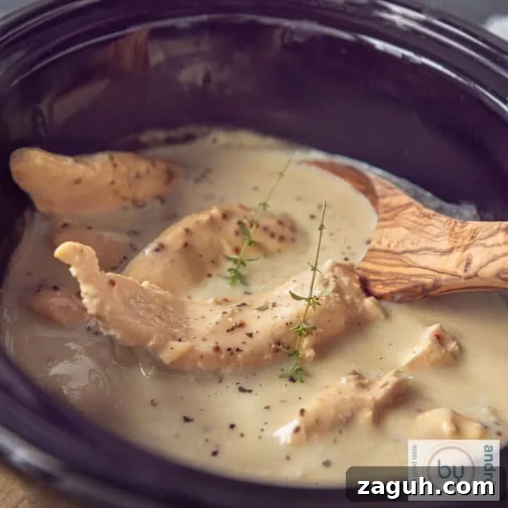 A square photo of a slow cooker filled with chicken and mustard sauce