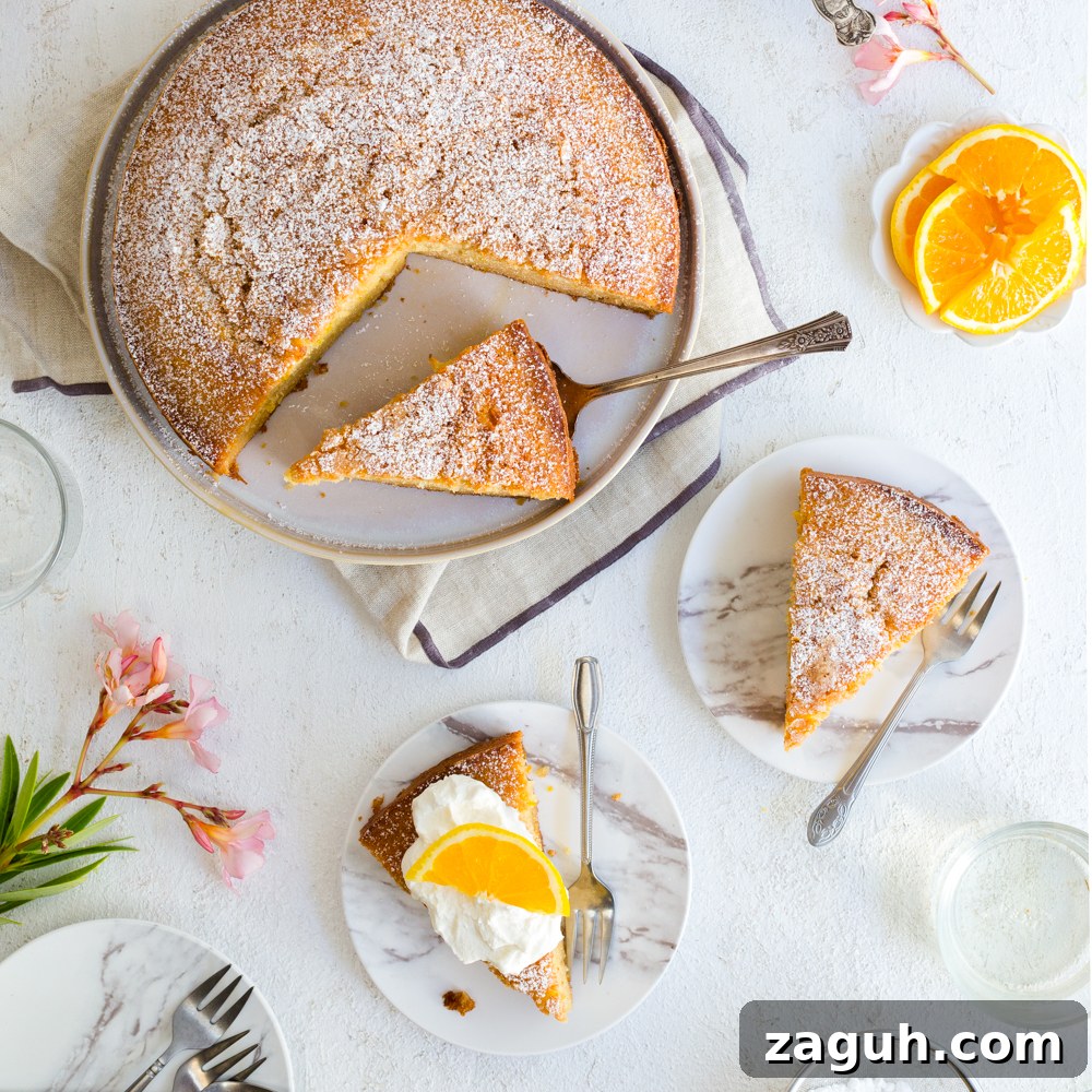 Orange Aperitivo Olive Oil Cake by Baking The Goods.
