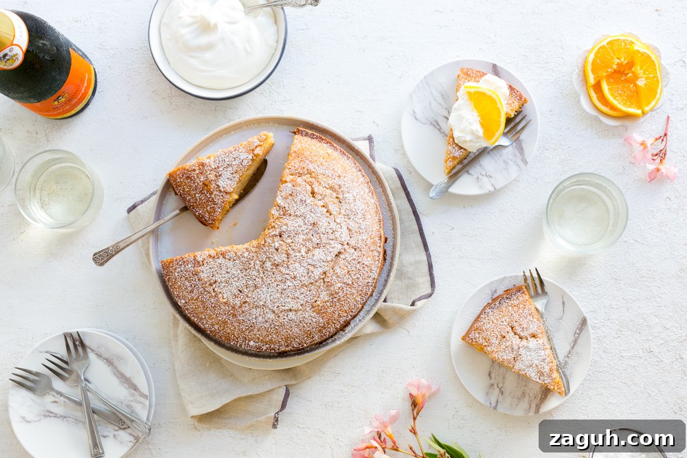 Orange Aperitivo Olive Oil Cake from Baking The Goods