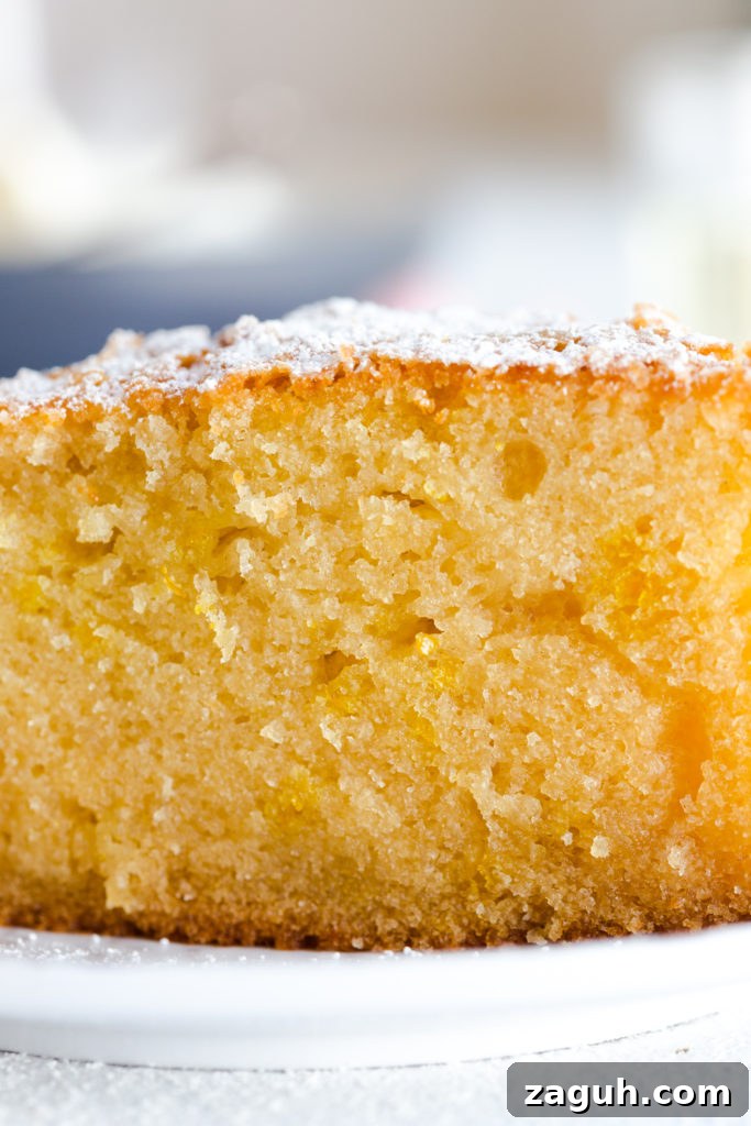 Orange Aperitivo Olive Oil Cake crumb