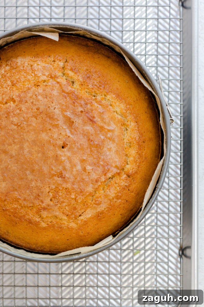 Orange Aperitivo Olive Oil Cake cooling