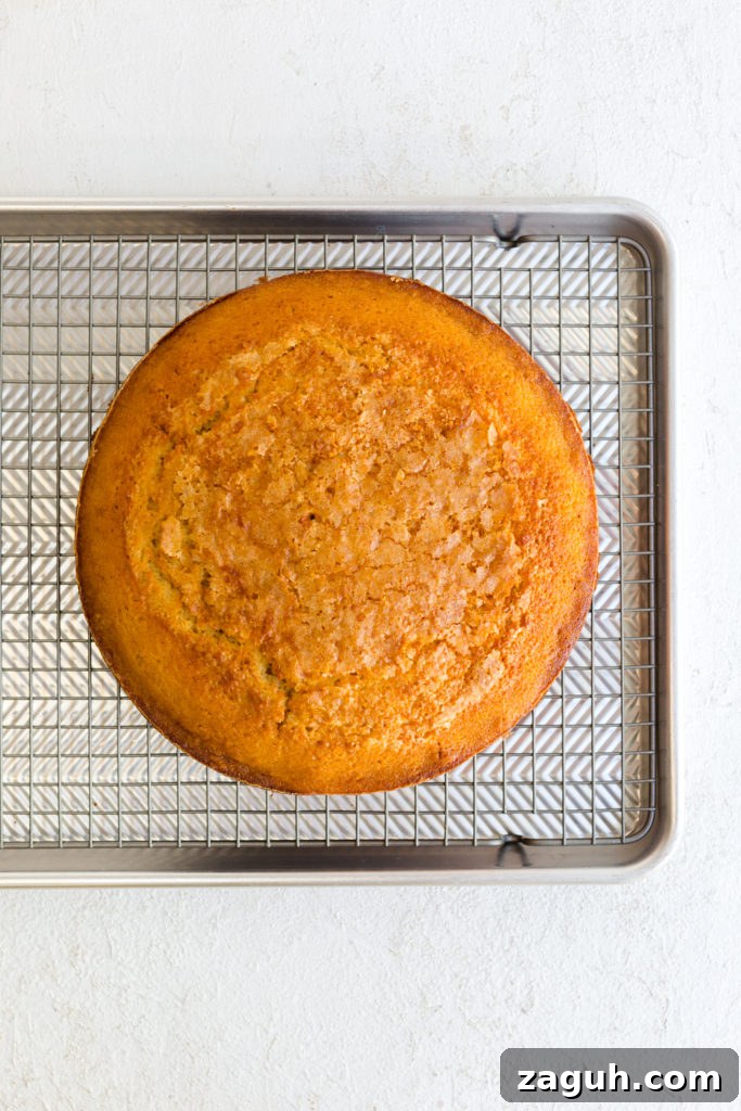 Orange Aperitivo Olive Oil Cake cooling down