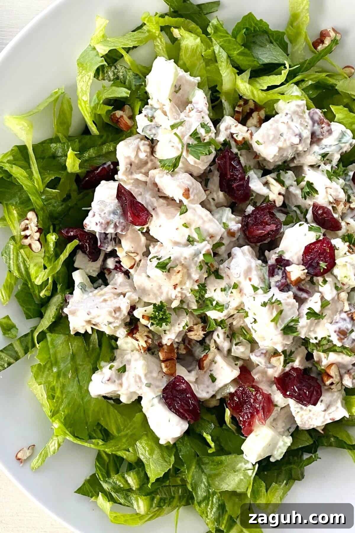 Cranberry Chicken Salad with Toasted Pecans Recipe 2 creamy chicken salad with cranberries and toasted pecans over shredded lettuce.