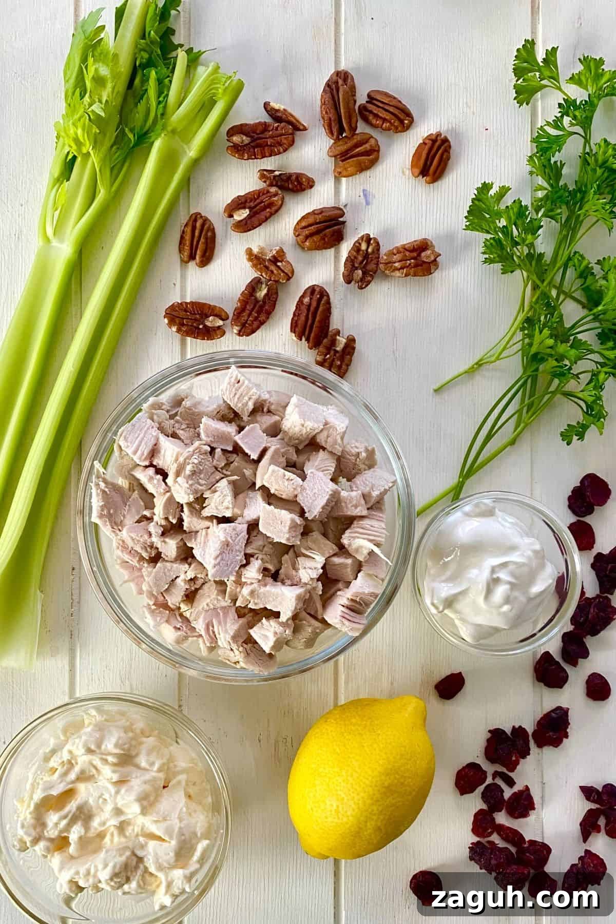 Cranberry Chicken Salad with Toasted Pecans Recipe 3 cooked chicken, dried cranberries, celery, pecans, lemon, mayonnaise, sour cream, parsley.