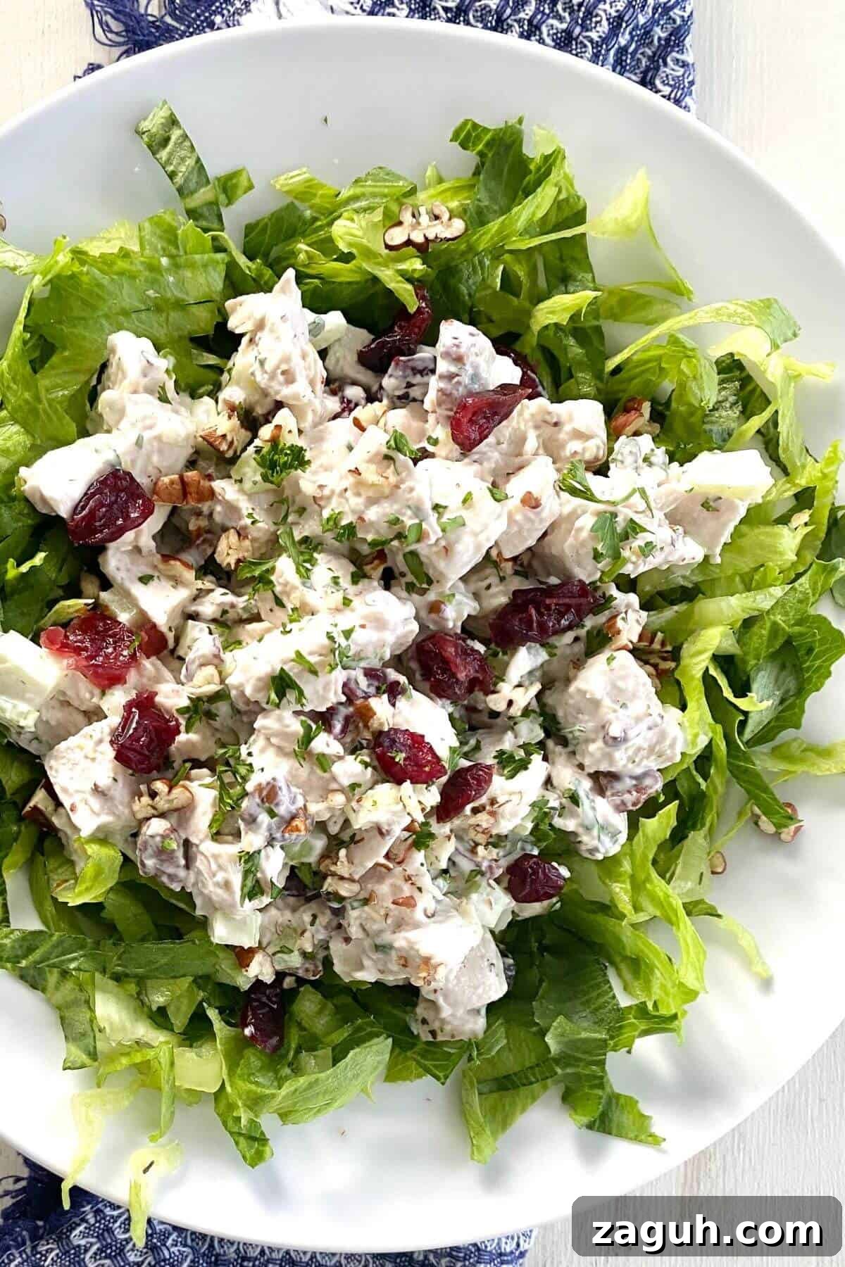Cranberry Chicken Salad with Toasted Pecans Recipe 5 a salad with chicken, cranberries and pecans over lettuce.
