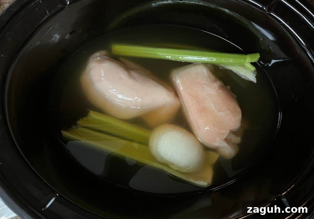 Slow-Cooker Chicken and Dumplings Recipe for Comforting Dinners 5 boneless skinless chicken breasts, chicken broth, onion, and celery in a slow cooker