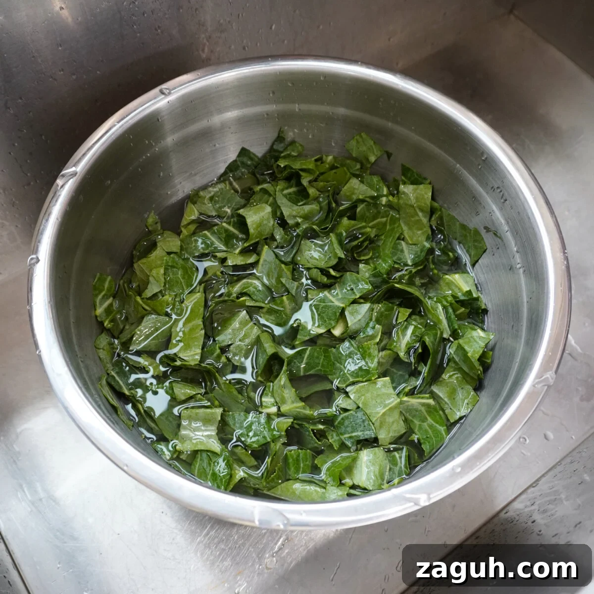 Savory Sausage and Slow-Simmered Collard Greens Recipe 5 cleaned collard greens in a bowl with water.
