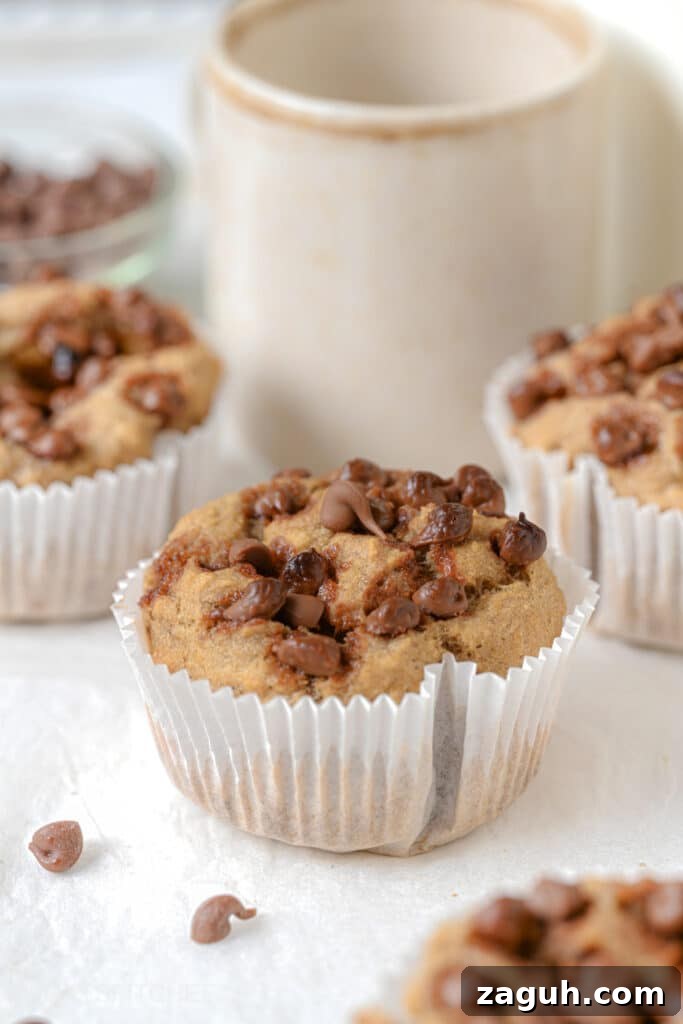 Light-Flavor Muffins Under 150 Calories Each 5 Chocolate Chip Low Calorie Muffins