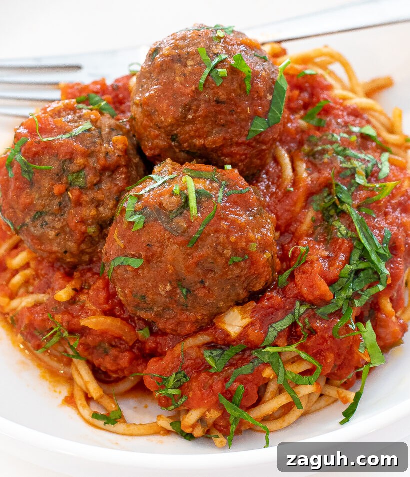 meatballs and spaghetti tossed in tomato sauce
