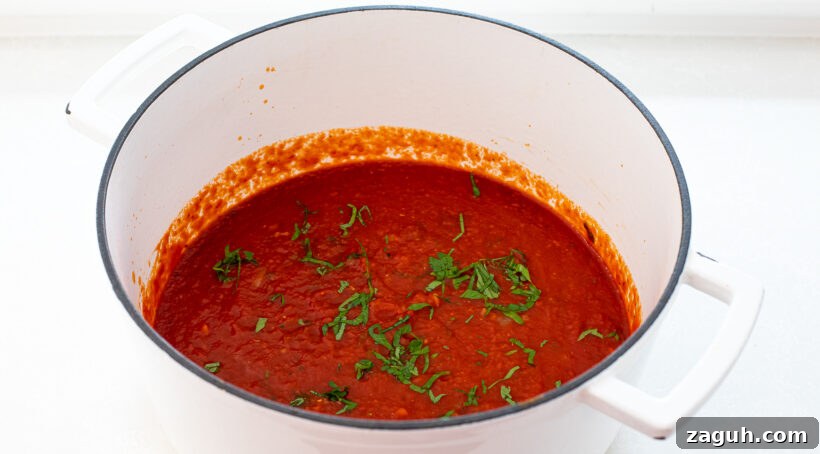 tomato sauce with fresh basil