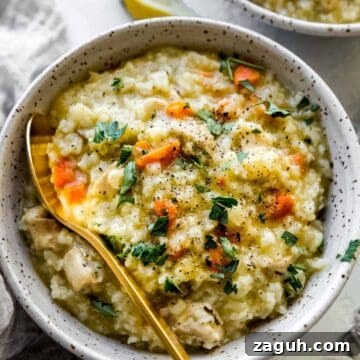 Instant Pot Chicken and Rice Soup Recipe for Comforting Weeknight Meals 2 chicken and rice soup with fresh parsley on top and a gold spoon inside the bowl