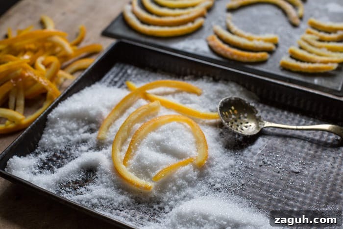 How to Make Candied Orange Peel at Home: Zesty Homemade Recipe 4 Coating Candied Orange Peel in granulated sugar