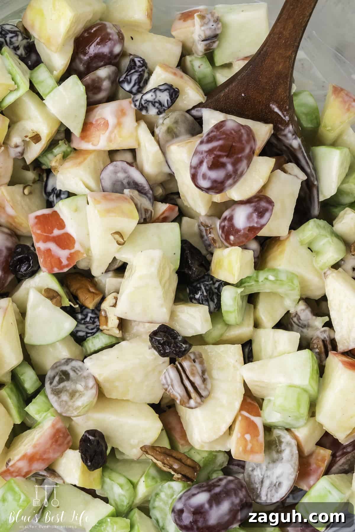 Lightened Waldorf Salad with Creamy Greek Yogurt Dressing 7 A closeup of the salad with a Greek yogurt dressing.