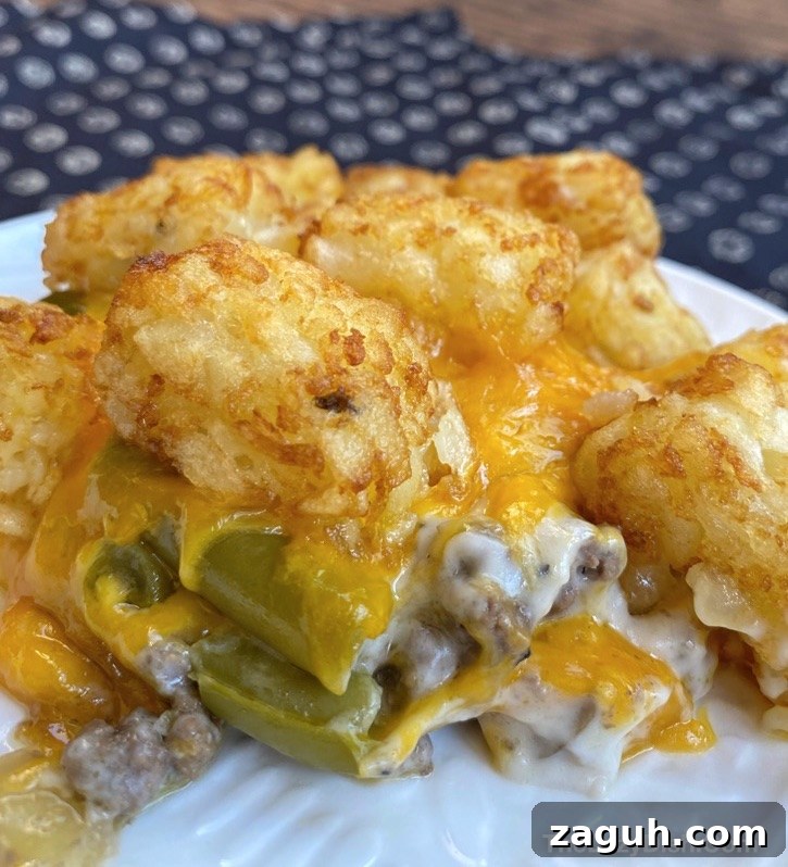 Cheesy Tater Tot Casserole Recipe with Crispy Golden Topping 2 Quick and Easy Family Dinner Recipe Made with ground beef and tater tots! Cheap, simple and delicious.