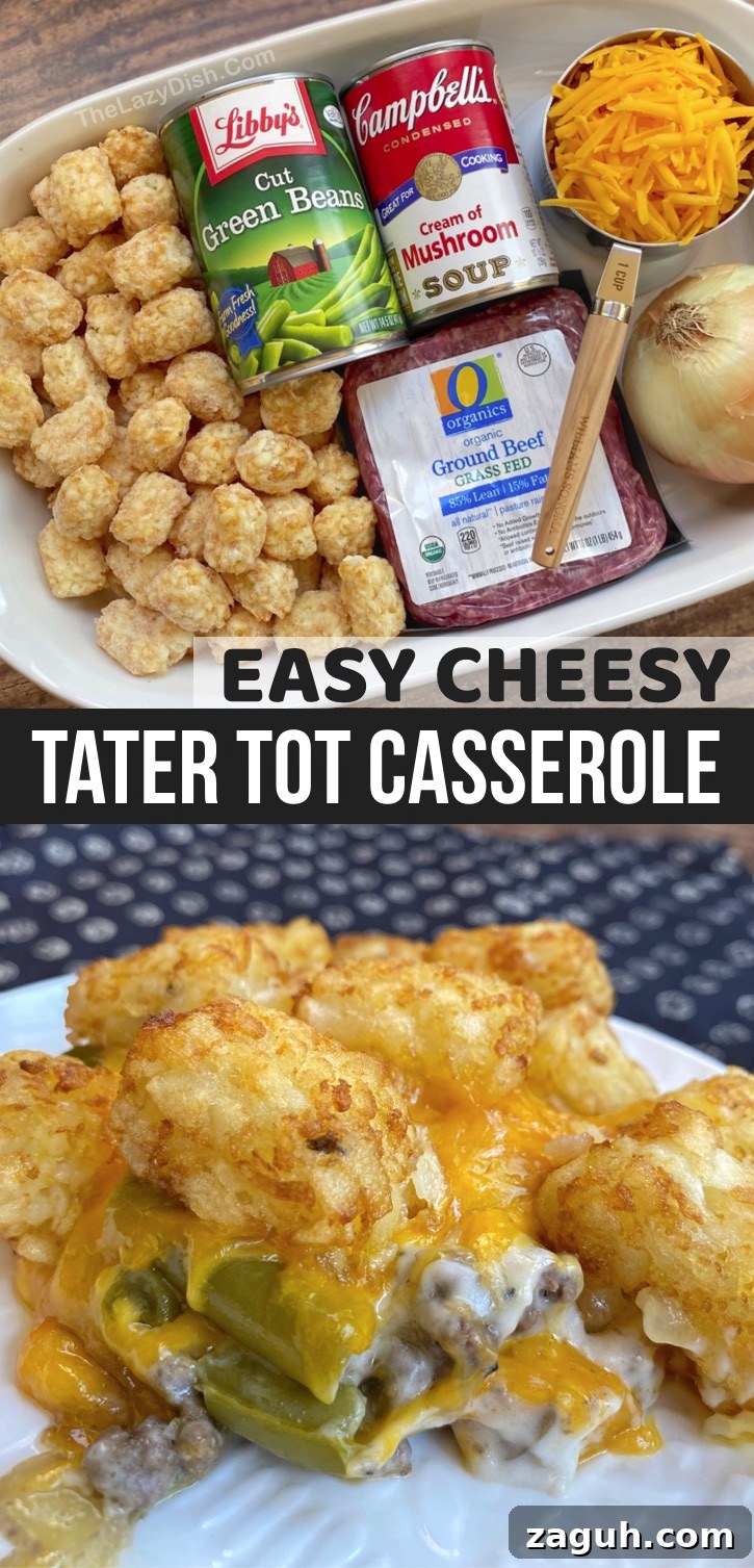 Cheesy Tater Tot Casserole Recipe with Crispy Golden Topping 7 This easy cheesy tater tot casserole is made with simple and cheap ingredients including ground beef, cream of mushroom soup, green beans and cheddar. It's delicious! Your entire famiy (including your kids) will love this easy weeknight meal. It's the perfect main dish to feed your picky eaters-- it's got the meat, potatoes, cheese and veggies! If you're looking for easy dinner recipes for a family with kids, this casserole is a crowd pleaser. #easymeals #casseroles #comfortfood #thelazydish