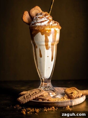 Biscoff milkshake in a milkshake glass, decorated with whipped cream and Lotus cookies.