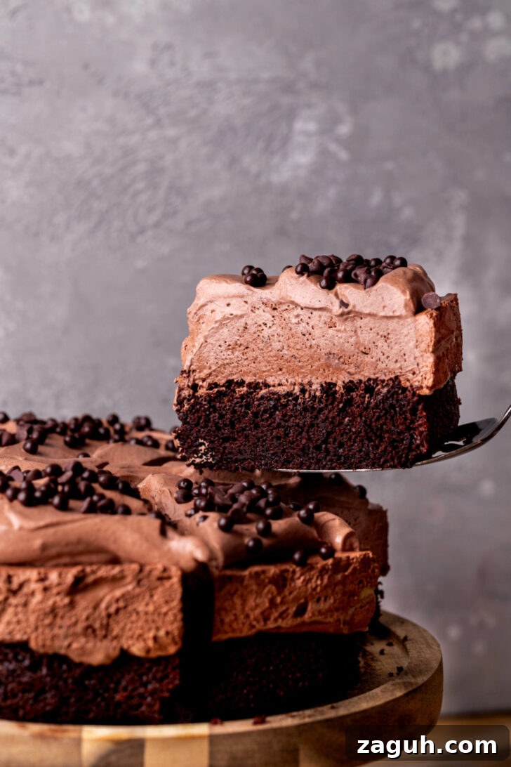 Decadent Chocolate Mousse Cake Recipe for Chocolate Lovers 2 Taking a slice out of the chocolate mousse cake.