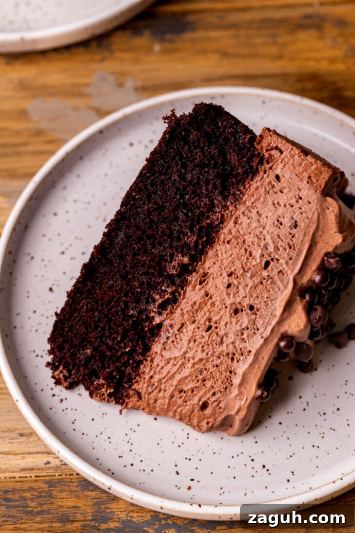 Decadent Chocolate Mousse Cake Recipe for Chocolate Lovers 3 One slice on chocolate mousse cake on a plate.
