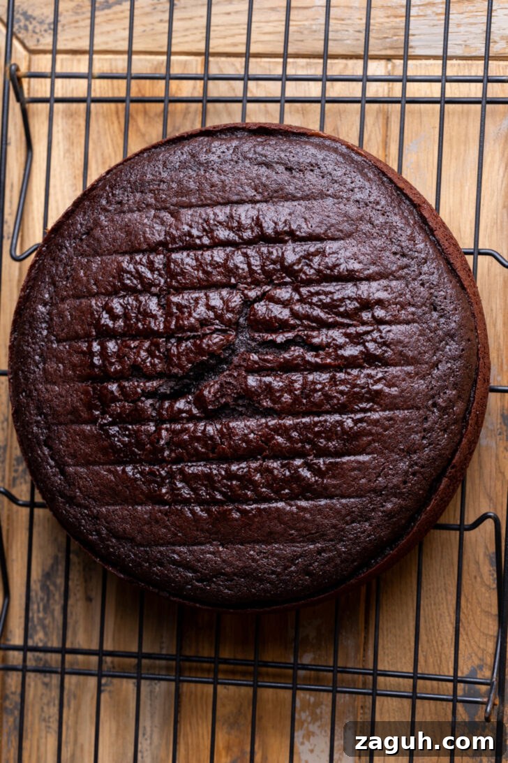 Decadent Chocolate Mousse Cake Recipe for Chocolate Lovers 5 Chocolate cake on a wire rack.