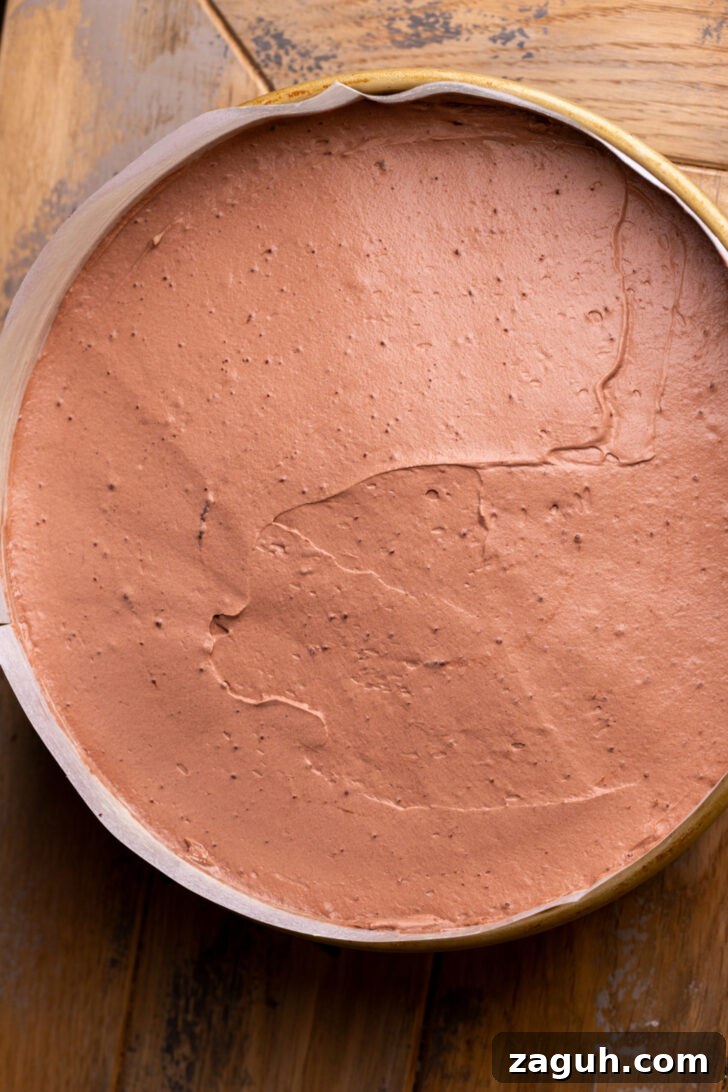 Decadent Chocolate Mousse Cake Recipe for Chocolate Lovers 9 Chocolate mousse on top of cake.