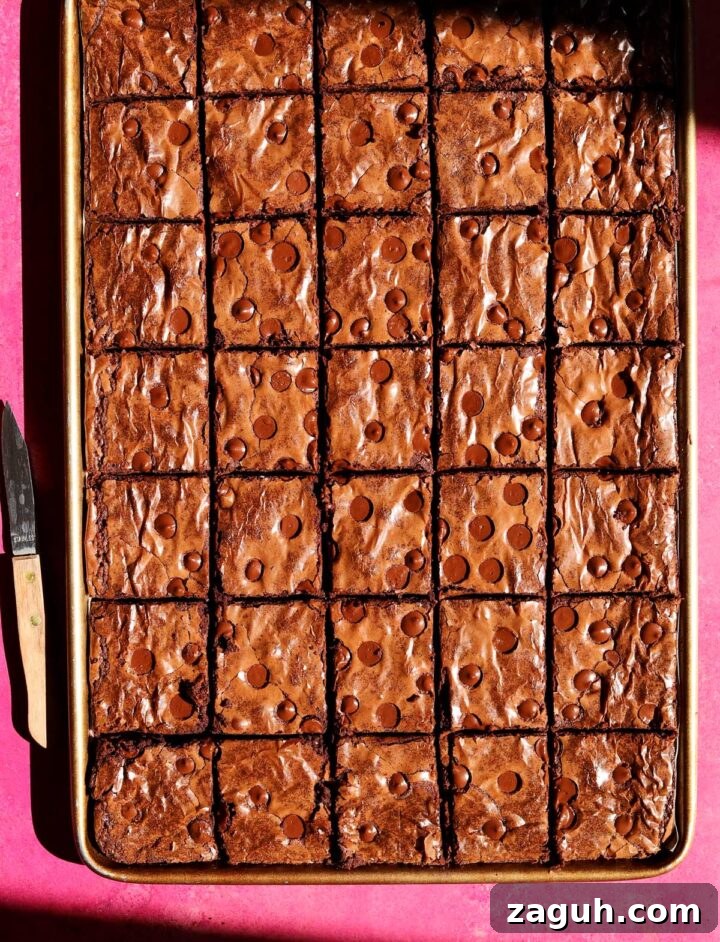 Chewy Sheet-Pan Brownies: One-Pan Recipe for Fudgy Bars 3 sheet pan brownies sliced in pan