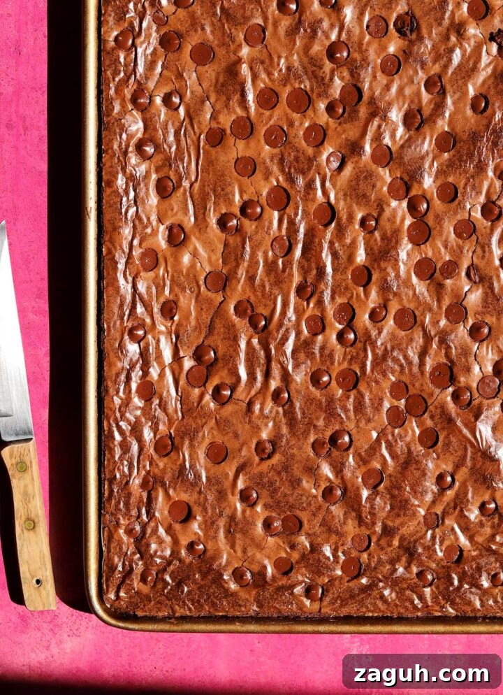 Chewy Sheet-Pan Brownies: One-Pan Recipe for Fudgy Bars 8 sheet pan brownies just baked in pan