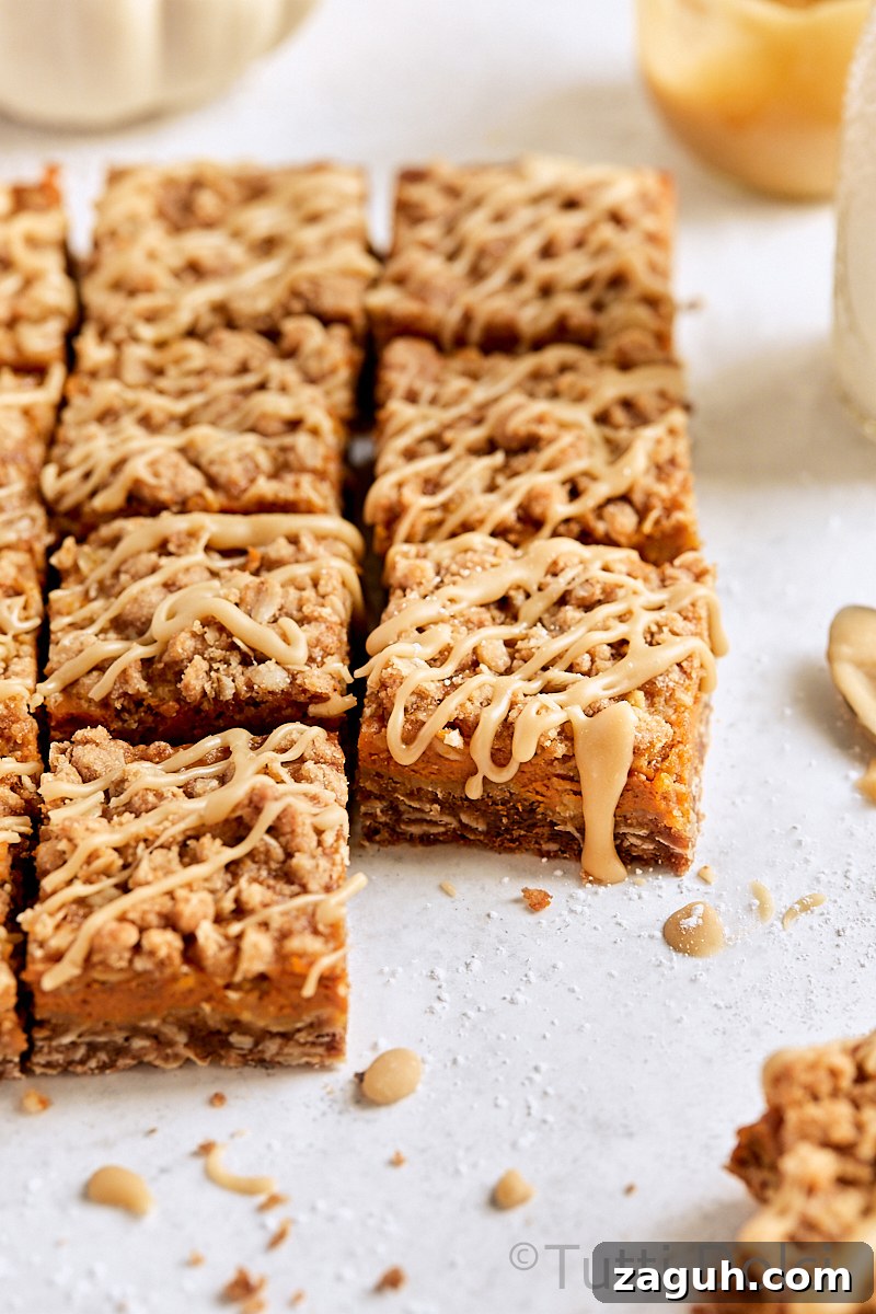Pumpkin Pie Crumble Bars Recipe — Fall Dessert Bars with Spiced Crumble 2 Pumpkin Pie Crumble Bars