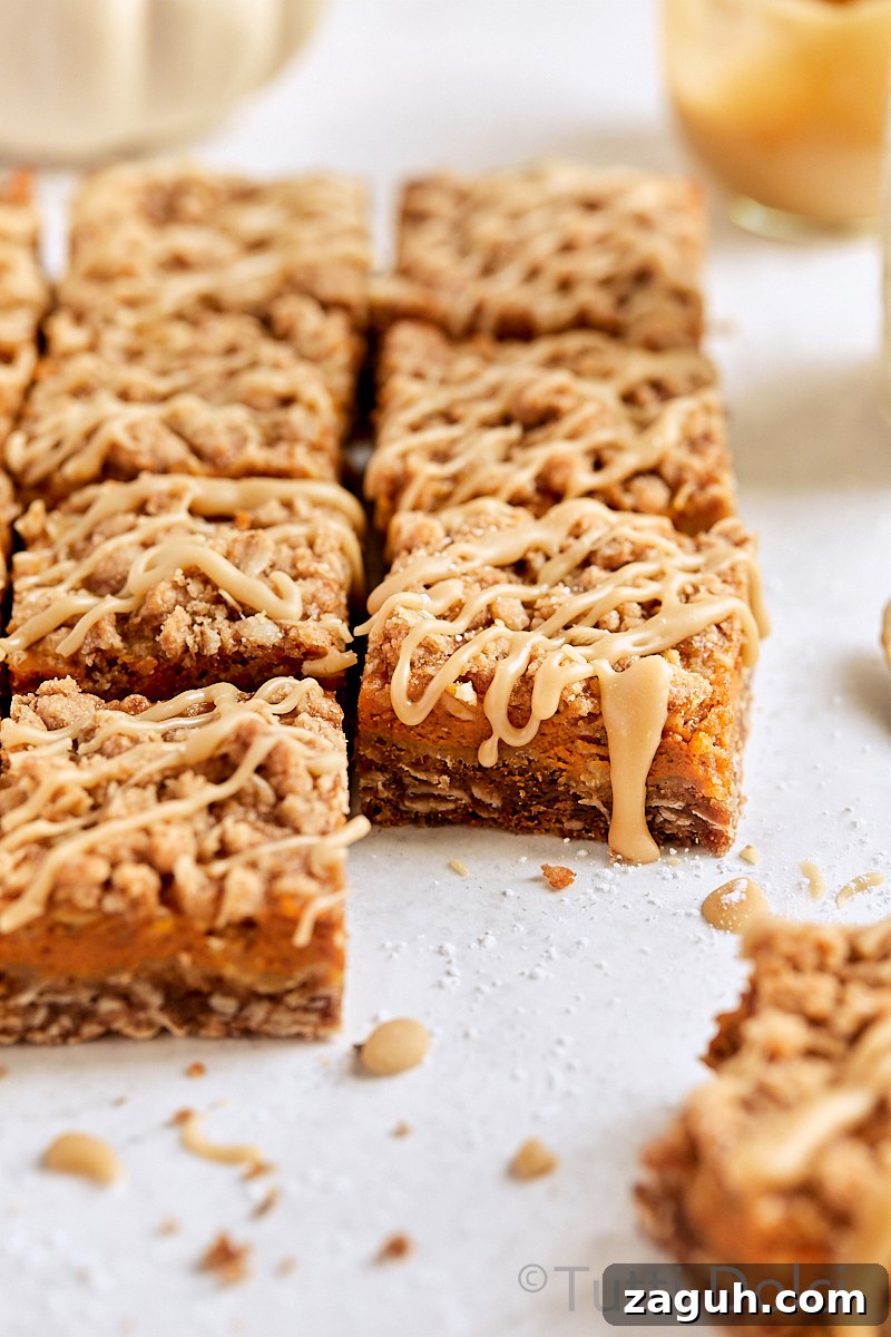 Pumpkin Pie Crumble Bars Recipe — Fall Dessert Bars with Spiced Crumble 4 Pumpkin Pie Crumble Bars
