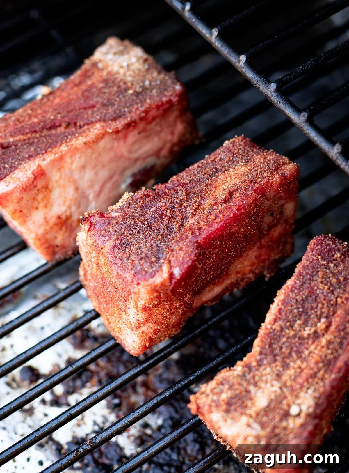 Perfectly Smoked Beef Short Ribs: Tender BBQ Recipe 10 Seasoned short ribs on smoker grates.