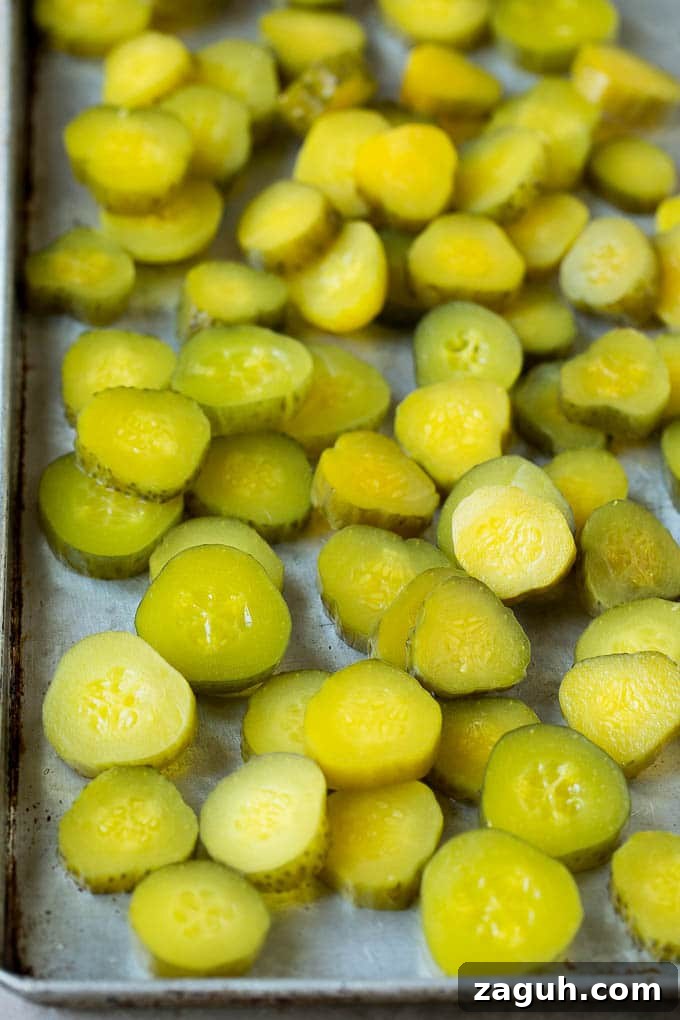 Sliced Pickles Sliced dills on a sheet pan.