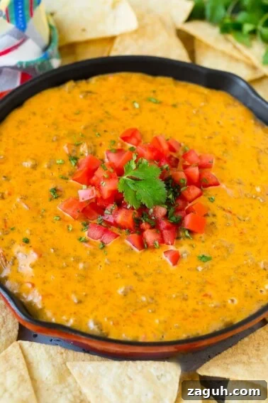Crispy Southern Fried Pickles Recipe for Ultimate Crunch 3 A skillet of Rotel dip topped with fresh tomatoes and cilantro, served with tortilla chips.