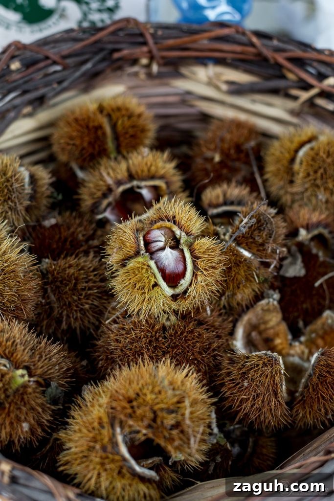 Chestnuts Chestnuts