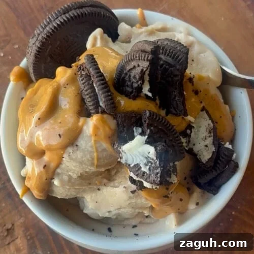 Parent Trap Peanut Butter Oreo Protein Creami Recipe 4 Parent Trap Protein CREAMi