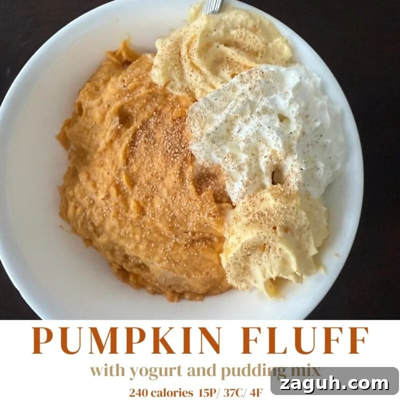 Parent Trap Peanut Butter Oreo Protein Creami Recipe 7 Pumpkin cheesecake fluff