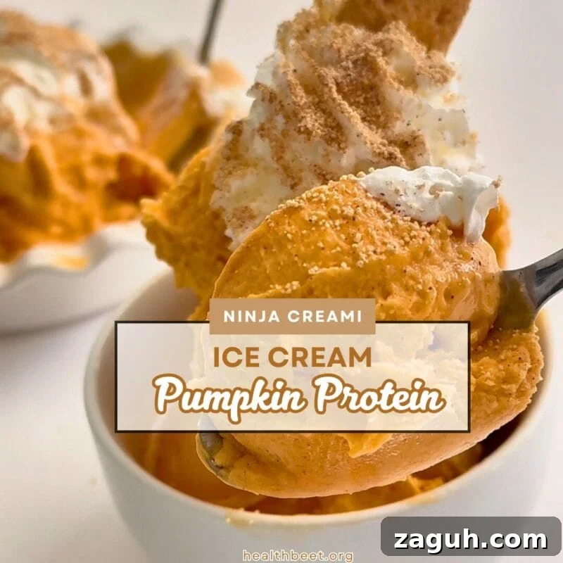 Parent Trap Peanut Butter Oreo Protein Creami Recipe 8 Pumpkin protein Ninja CREAMi