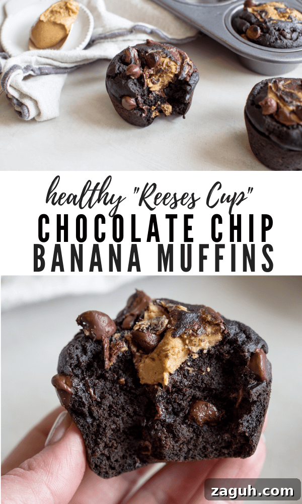 Banana Chocolate Chip Muffins with Oats and Greek Yogurt 10 healthy chocolate chip muffins gluten free coconut flour banana peanut butter