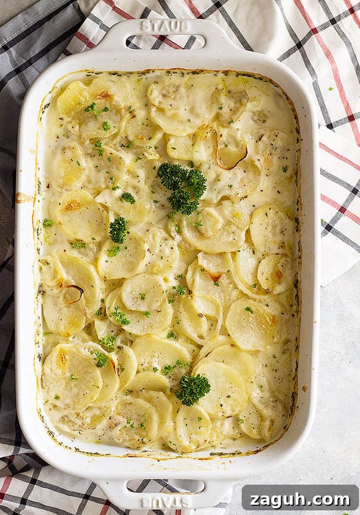 Creamy Baked Scalloped Potatoes with Garlic and Thyme 2 Top down view of scalloped potatoes garnished with fresh parsley.