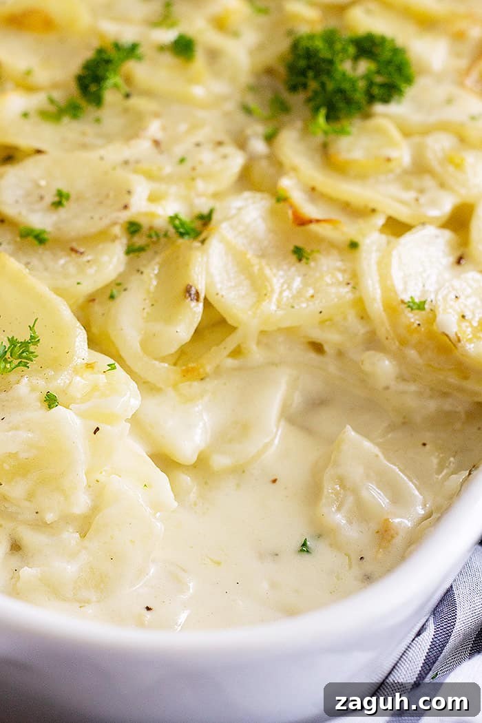 Creamy Baked Scalloped Potatoes with Garlic and Thyme 4 Close up of a spoonful taken from scalloped potatoes to show the creamy goodness.