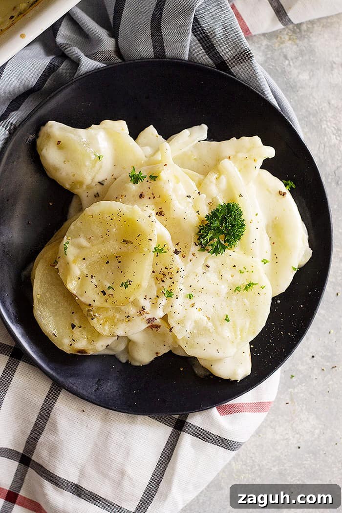 Creamy Baked Scalloped Potatoes with Garlic and Thyme 5 Top down view of scalloped potatoes on a black plate. Garnished with fresh parsley and black pepper.