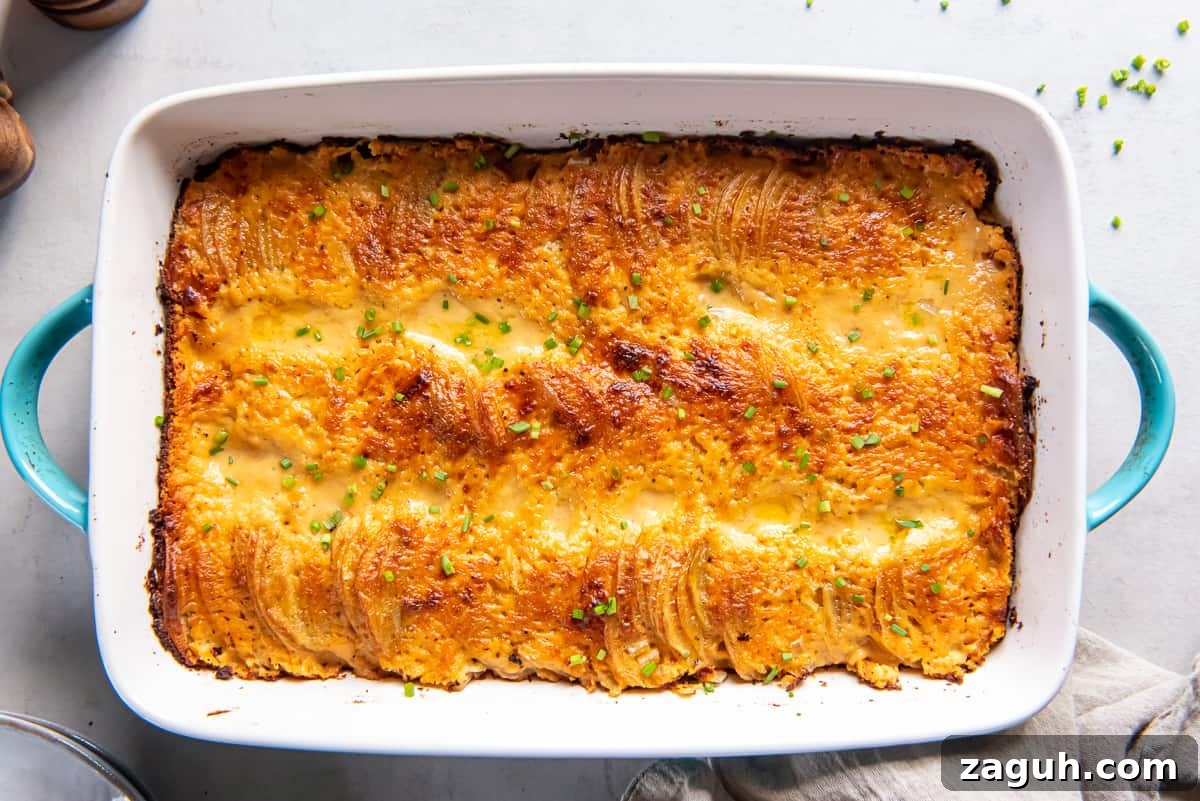 Creamy Scalloped Potatoes au Gratin Recipe 5 A top down shot of au gratin potatoes in a baking dish with blue handles.