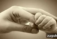 It’s a Miracle: Real Stories of Unexpected Recoveries