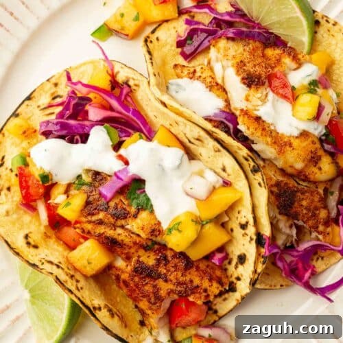 Crispy Tilapia Fish Tacos with Zesty Lime Slaw 5 An overhead view of two tilapia fish tacos topped with lime crema, red cabbage slaw, and peach mango salsa on charred corn tortillas.