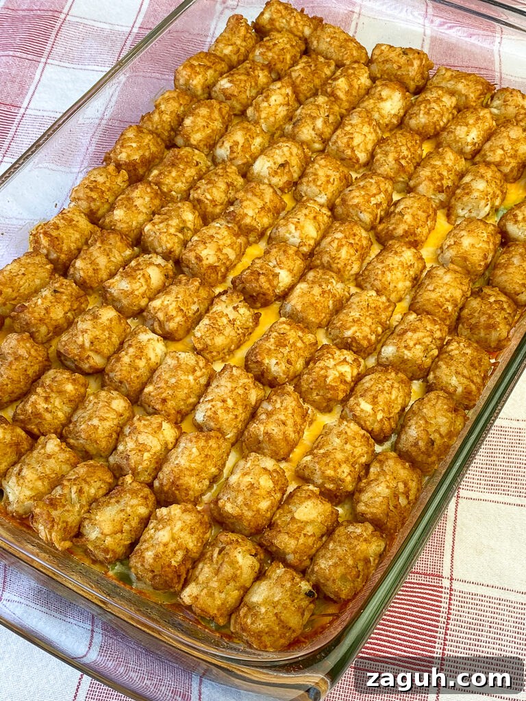 Cheesy Hamburger and Tater Tot Casserole Recipe That Families Love 3 Neat rows of tater tots baked into a hamburger casserole with cheese, cream of chicken mushroom soup and frozen vegetables on a red and white napkin