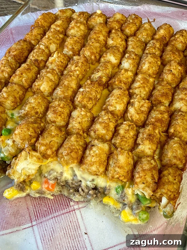 Cheesy Hamburger and Tater Tot Casserole Recipe That Families Love 6 Cross section of cheese melting down on mixed vegetables and hamburger with a layer of golden brown tater tots on top