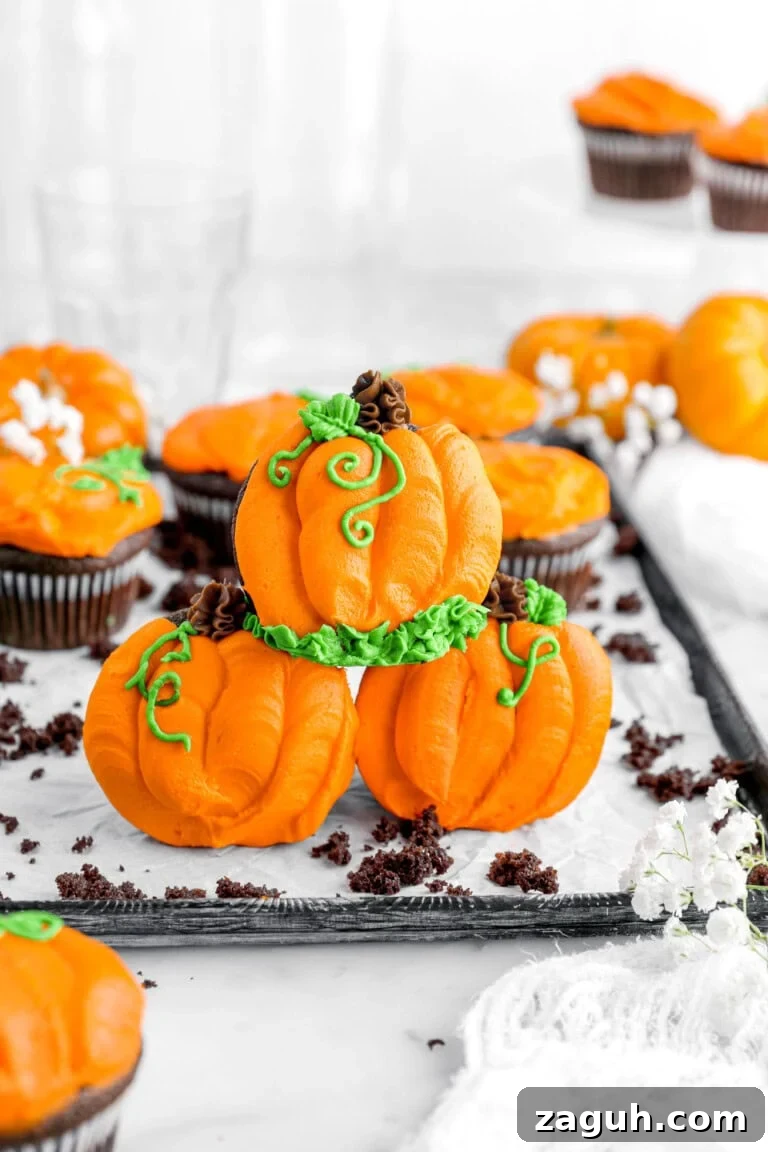 Chocolate Pumpkin Cupcakes