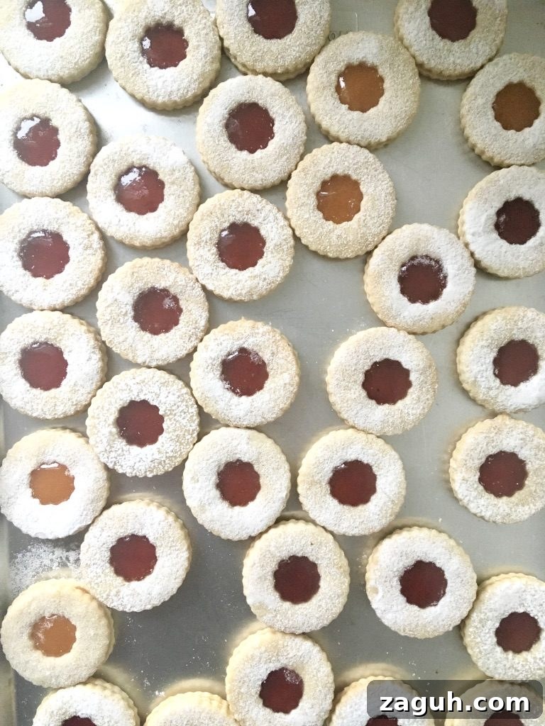 Linzertorte Cookies: Classic Austrian Jam-Filled Sandwich Cookies 5 img 317 4